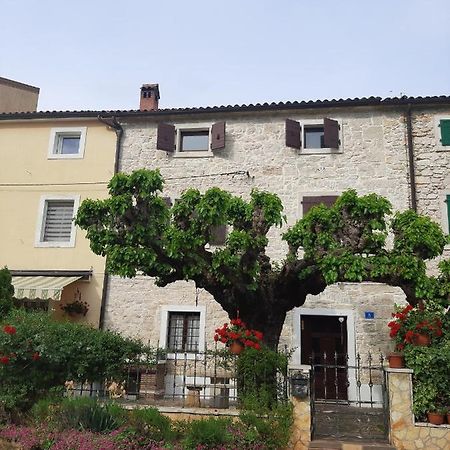 Willa Casa Girasole Buje Zewnętrze zdjęcie